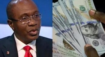 Expert Predicts Dollar To Naira Rate To Hit N630 Over Emefiele Suspension, Arrest