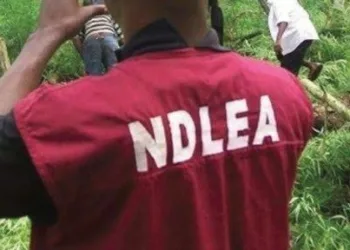 NDLEA Recruitment