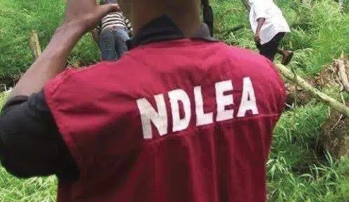 NDLEA Recruitment