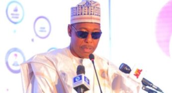 BREAKING: No Community Still Under Boko Haram in Borno – Governor Zulum