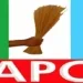 2023 APC Presidential Primary Live Updates