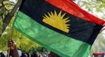 IPOB Dismisses Rumour Of Week-Long Sit-At-Home In South East