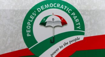 BREAKING: PDP Elects New Chairman (Photo)