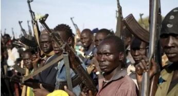 BREAKING: Political Thugs Disrupt Voting Exercise In Lagos