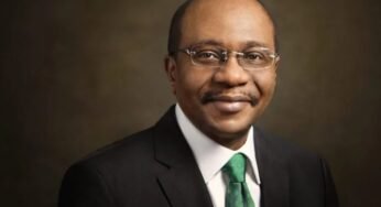 Agricultural Sector Is Nigeria’s Saving Grace – Emefiele