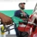Petrol Price