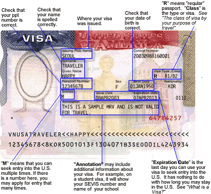 what does a us visa look like
