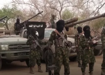 Bamboa Local Government