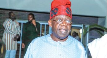 Arewa Youths Give Tinubu Conditions To Support His 2023 Presidential Ambition