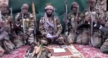 How Boko Haram Leader Shekau Committed Suicide To Avoid Being Captured Alive