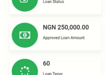 NYIF Loan Status Checker | https://nyif.nmfb.com.ng/app