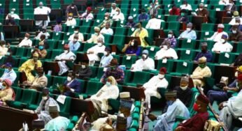 House Of Representatives Speaks Shutting Down Motion On Pantami Resignation