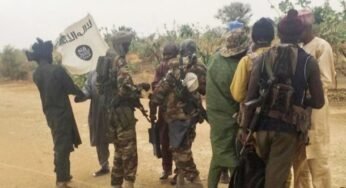 Breaking: Yobe State Community Under Boko Haram Terrorists Attack 