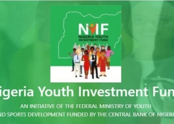 Nigeria Youth Investment Fund Training