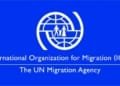 International Organization For Migration Massive Recruitment
