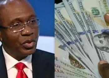 CBN Forex Intervention