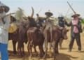 Governor Ugwuanyi Signs Anti-Open Grazing Bill Into Law