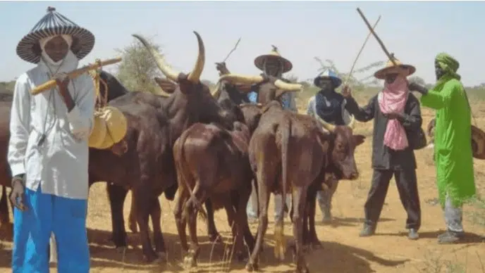 Governor Ugwuanyi Signs Anti-Open Grazing Bill Into Law