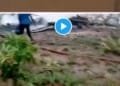 How Chief Of Army Staff Was Killed In Plane Crash