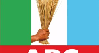 Names Of All APC Candidates For Lagos LG Elections [Full List]