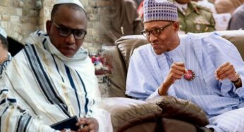 Buhari Did Nnamdi Kanu A Favour, We Could Have Eliminated Him – Adesina