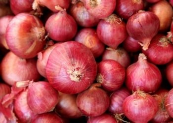 Northerners Stop Supply Of Onions To South-East