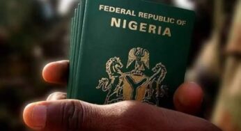 Did You Applied Nigerian Passport? Check If Your Passport Is Ready For Collection Here