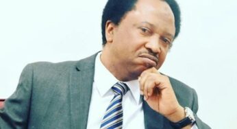 Nnamdi Kanu’s Arrest : Shehu Sani Reveals What FG Must Do