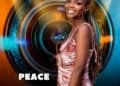 BBNaija Peace