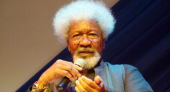 Wole Soyinka Calls Out Buhari Government For Kidnapping Nnamdi Kanu