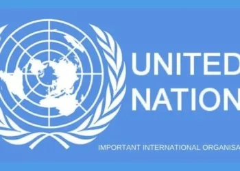 UN Report Exposes FG Secret Programme For Repentant Terrorists
