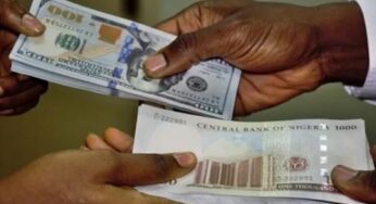 Dollar To Naira Exchange Rate Today 29 October 2021 (Black Market Rate)