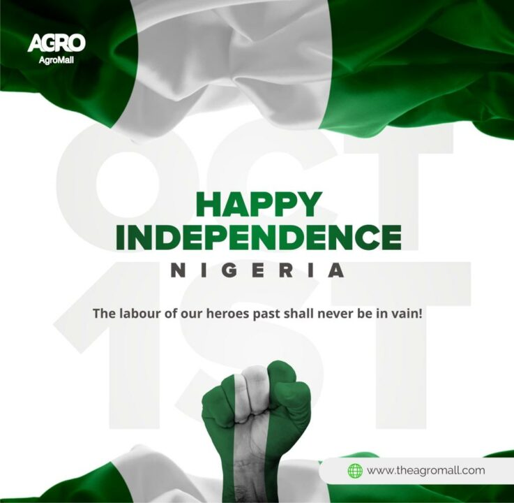 Nigeria Independence Day: Top 50 Independence Day Quotes And Patriotic Messages