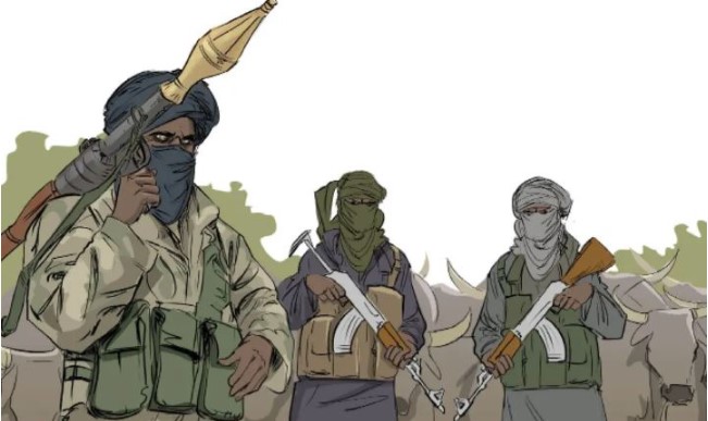 Bandit Terrorists Strike Zamfara School