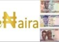 eNaira Official Platform Goes Live
