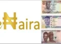 eNaira Official Platform Goes Live