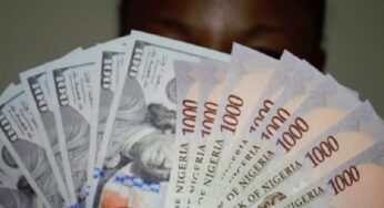 BREAKING: Naira Crashes Further At Official Market Over High Demand Pressure