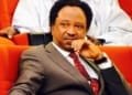 Senator Shehu Sani