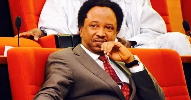 Senator Shehu Sani