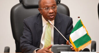 CBN Introduces PAVE Option To Ensure Local Consumption