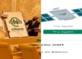 e-Naira