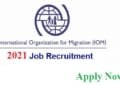 IOM Recruitment 2021