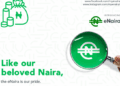 e-Naira