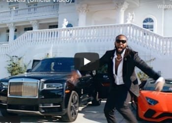 Download Levels By Flavour Video