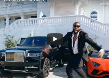 Download Levels By Flavour Video