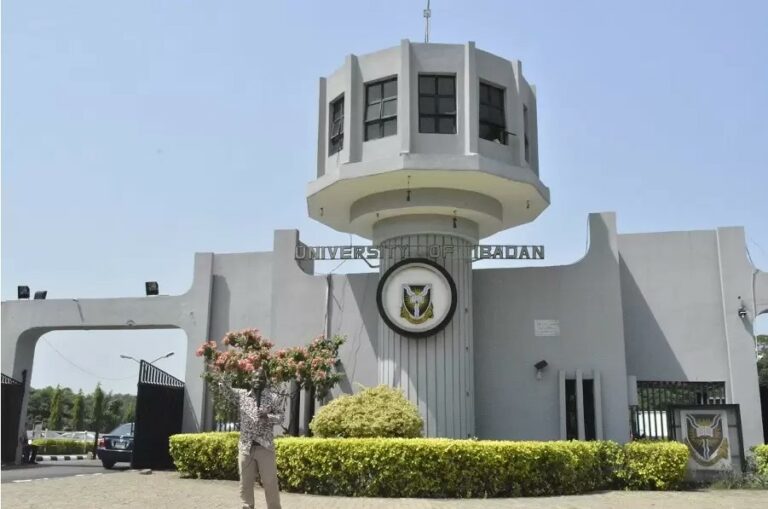 University of Ibadan Vice Chancellor