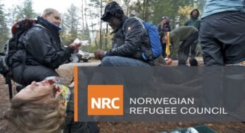 Apply For Norwegian Refugee Council Recruitment 2021