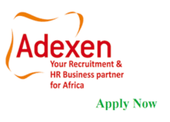 Adexen Recruitment Agency Recruitment 2021