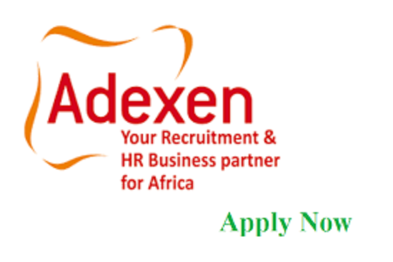 Adexen Recruitment Agency Recruitment 2021
