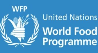 Latest UN World Food Programme Recruitment 2021 (Apply Here)